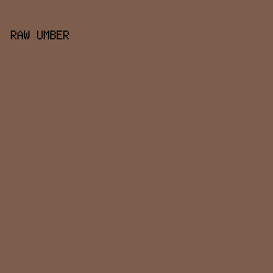 7D5D4B - Raw Umber color image preview