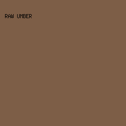 7D5E47 - Raw Umber color image preview