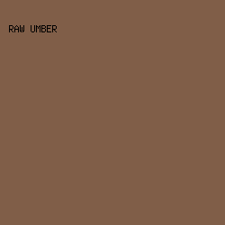 805E48 - Raw Umber color image preview