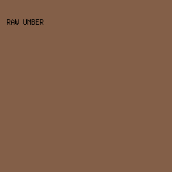 835F48 - Raw Umber color image preview