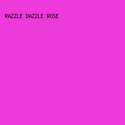 ED3ADA - Razzle Dazzle Rose color image preview