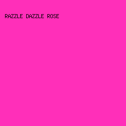 FF2FB9 - Razzle Dazzle Rose color image preview