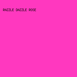FF38BF - Razzle Dazzle Rose color image preview