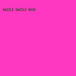 FF38C1 - Razzle Dazzle Rose color image preview