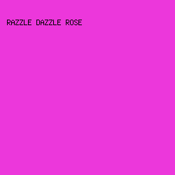 ec37db - Razzle Dazzle Rose color image preview