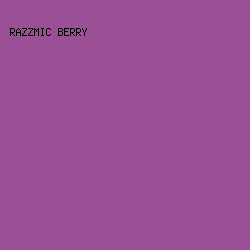9B4F96 - Razzmic Berry color image preview