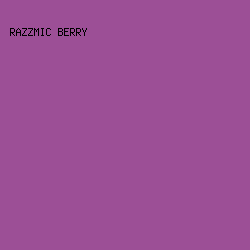 9c4f96 - Razzmic Berry color image preview