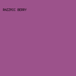 9c528b - Razzmic Berry color image preview