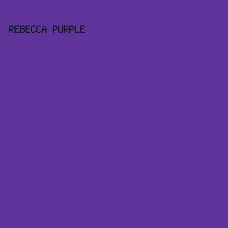 5E349A - Rebecca Purple color image preview