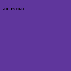 5F369C - Rebecca Purple color image preview