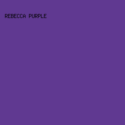 603991 - Rebecca Purple color image preview