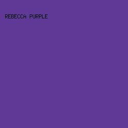 603996 - Rebecca Purple color image preview