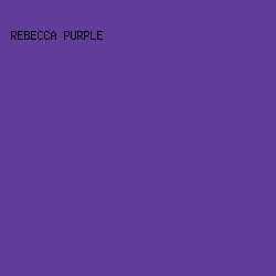 613C99 - Rebecca Purple color image preview
