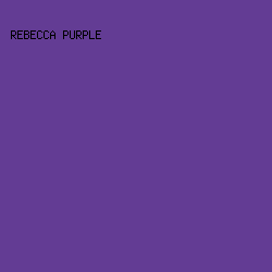 633c94 - Rebecca Purple color image preview