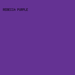 643293 - Rebecca Purple color image preview
