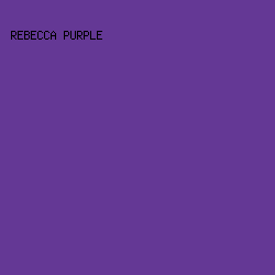 643895 - Rebecca Purple color image preview