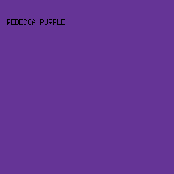 653496 - Rebecca Purple color image preview