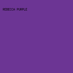 6C3594 - Rebecca Purple color image preview