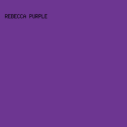 6D3691 - Rebecca Purple color image preview