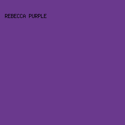 6a398d - Rebecca Purple color image preview