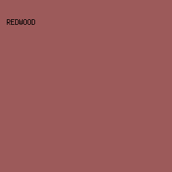 9C5A5A - Redwood color image preview