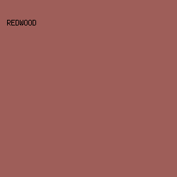 9E5E59 - Redwood color image preview