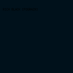 00111B - Rich Black [FOGRA29] color image preview