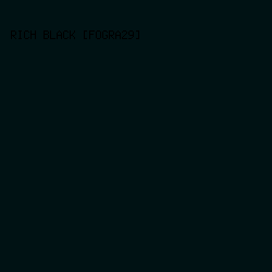 001214 - Rich Black [FOGRA29] color image preview