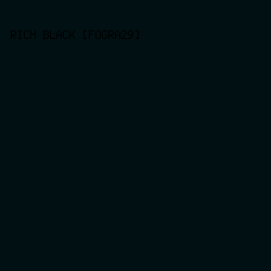 011013 - Rich Black [FOGRA29] color image preview