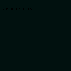 01110f - Rich Black [FOGRA29] color image preview