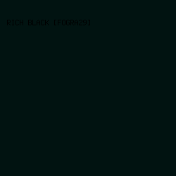 011311 - Rich Black [FOGRA29] color image preview