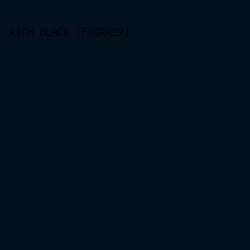 02111D - Rich Black [FOGRA29] color image preview
