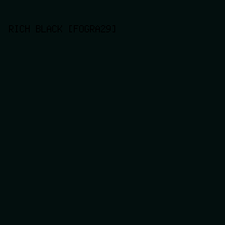 030f0e - Rich Black [FOGRA29] color image preview