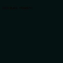 041311 - Rich Black [FOGRA29] color image preview