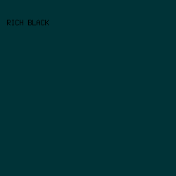 003337 - Rich Black color image preview