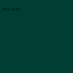 003E33 - Rich Black color image preview