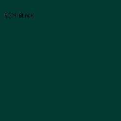 023b35 - Rich Black color image preview