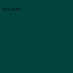 02443c - Rich Black color image preview