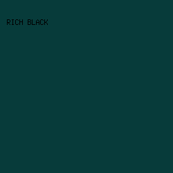 073b3a - Rich Black color image preview