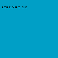009FC6 - Rich Electric Blue color image preview