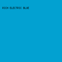 02a1d1 - Rich Electric Blue color image preview