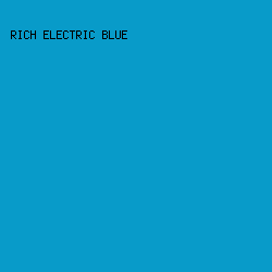 089bc9 - Rich Electric Blue color image preview
