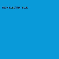 099ad9 - Rich Electric Blue color image preview
