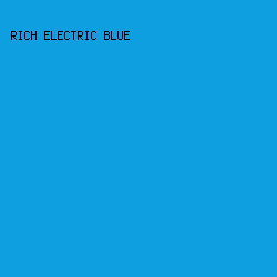 0e9fe0 - Rich Electric Blue color image preview