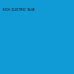 109ad6 - Rich Electric Blue color image preview