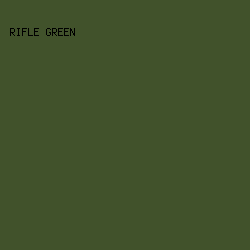 41522B - Rifle Green color image preview