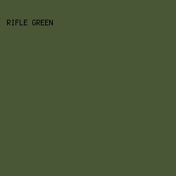 495737 - Rifle Green color image preview