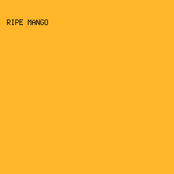 FFB628 - Ripe Mango color image preview