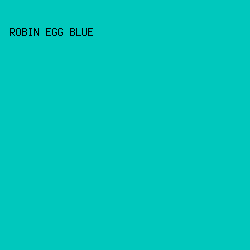 00C8BD - Robin Egg Blue color image preview