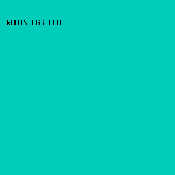 00CDB9 - Robin Egg Blue color image preview